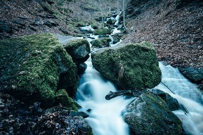 Scenic view of waterfall in forest