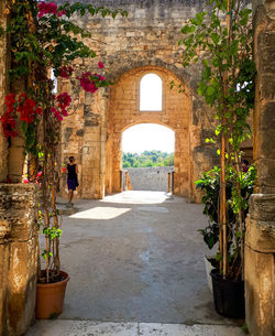 Potted plants outside historic building