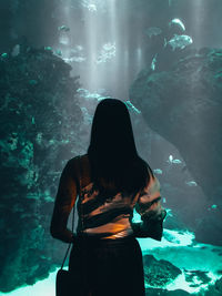 Rear view of woman standing in aquarium