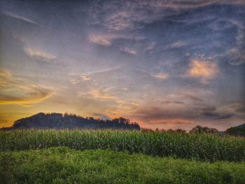 Scenic view of field against sky during sunset