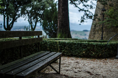 Empty bench in park