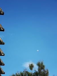 Low angle view of trees against clear blue sky