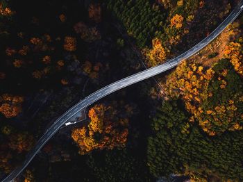 High angle view of trees during autumn