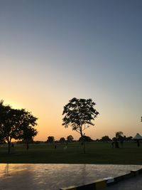 Silhouette of trees at sunset