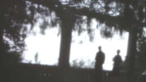 Rear view of silhouette people standing by trees