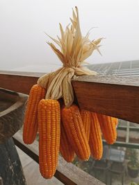 Close-up of orange tied on table