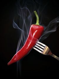 Close-up of red chili pepper against black background