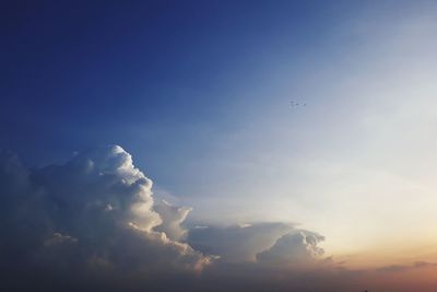 Low angle view of birds flying against blue sky