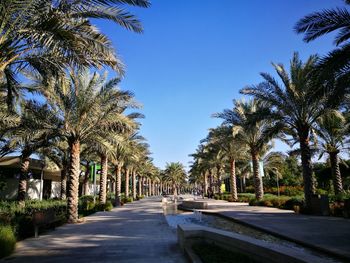 Road amidst trees against clear blue sky in city