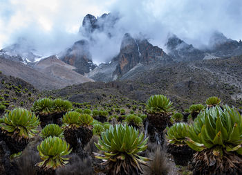 Scenic view of land and mountains against sky