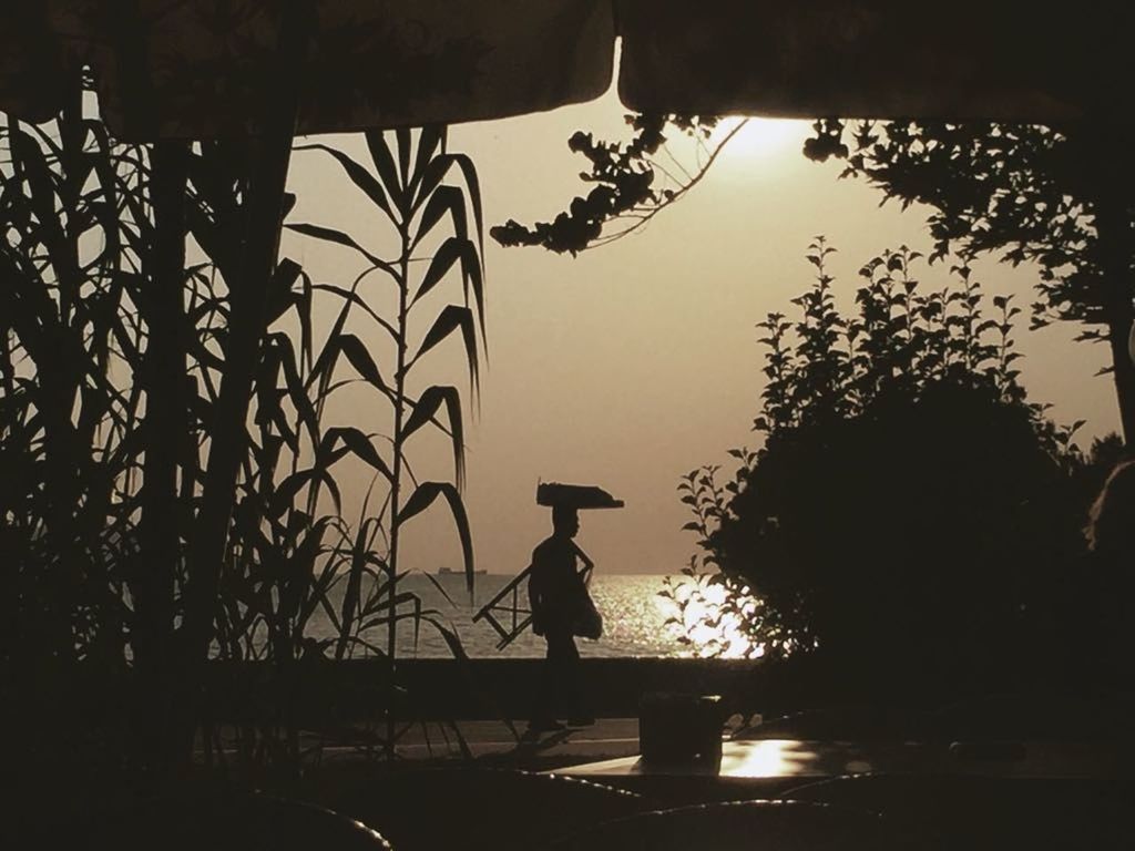 tree, silhouette, one person, real people, outdoors, water, nature, full length, growth, day, asian style conical hat, sky, scenics, beauty in nature, people