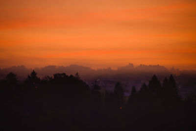 Silhouette trees against sky during sunset