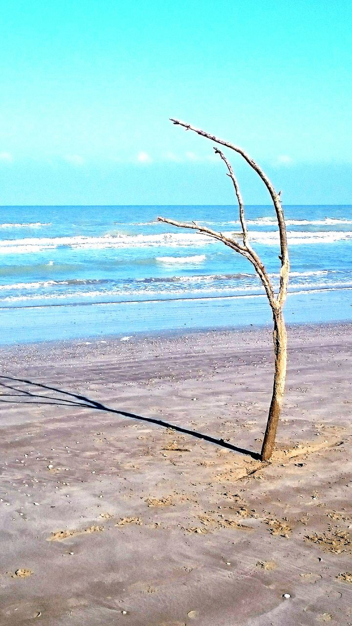 beach, sand, sea, shore, horizon over water, water, tranquility, tranquil scene, clear sky, nature, blue, sky, beauty in nature, scenics, outdoors, day, coastline, no people, idyllic, wave