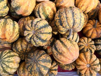 Full frame shot of pumpkins