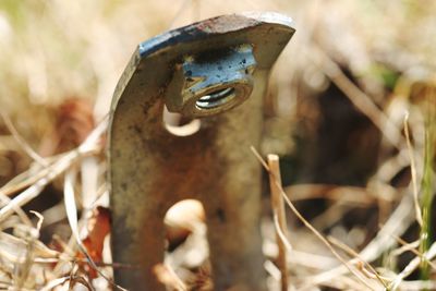 Close-up of rusty metal