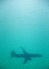 High angle view of man swimming in sea