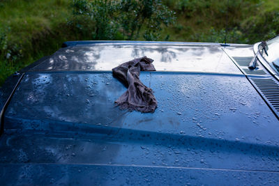 Reflection of tree on wet car