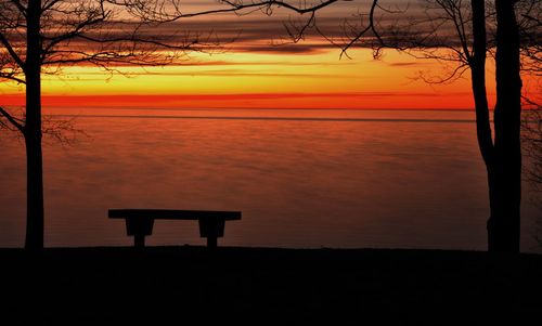 Silhouette of trees at sunset