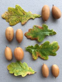 Close-up of nuts with leave on table