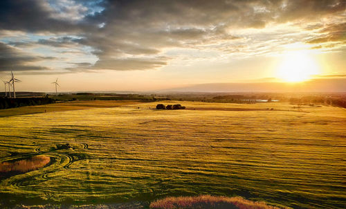 Scenic view of field against sky during sunset