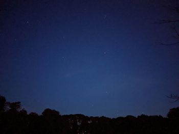 Low angle view of trees against sky at night