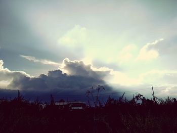 Silhouette trees on field against sky
