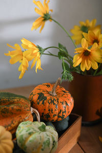 Close-up of pumpkin