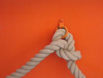 Close-up of rope tied on orange wall