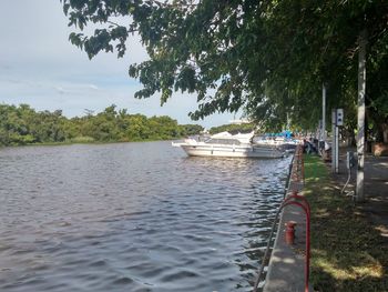 Boat moored by trees against sky