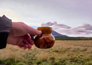 Person holding ice cream on land against sky
