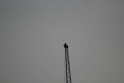 Low angle view of silhouette bird perching on pole against clear sky