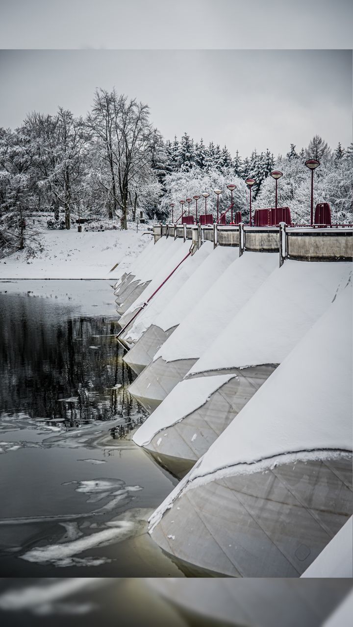 SCENIC VIEW OF SNOW COVERED PLANTS