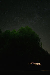 Low angle view of trees against sky at night