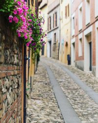 Flowers on brick wall