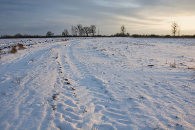 Snow covered field against sky