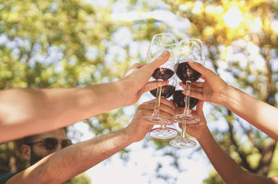 Close up of man having toast while holding wineglass with friends