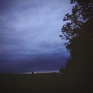 Low angle view of silhouette trees against sky