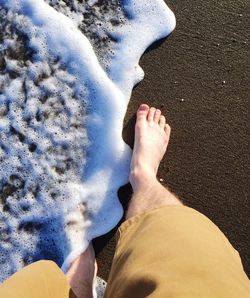 Low section of woman standing on beach