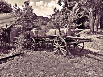 Horse cart on field against trees