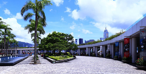 Palm trees and buildings in city against sky