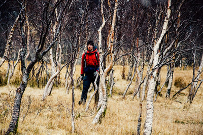 Hiker walking in forest amidst bare trees