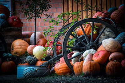 Pumpkins in yard
