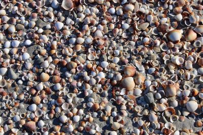 High angle view of pebbles on beach