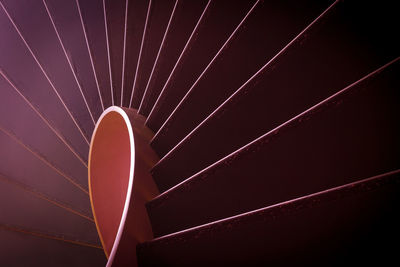 Close-up view of leaf