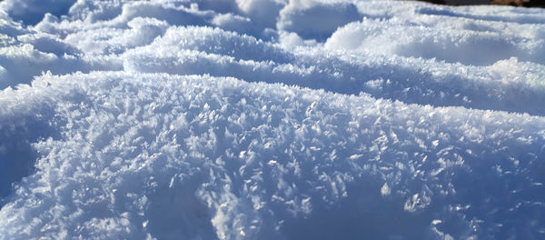 winter
