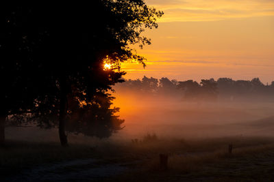 Scenic view of sunset