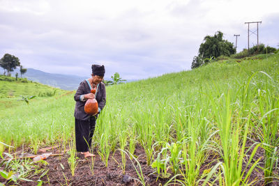 Female farmer working on field