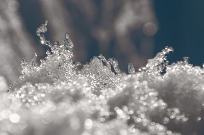 Close-up of frozen water 