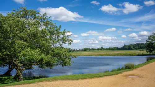 Scenic view of landscape against cloudy sky