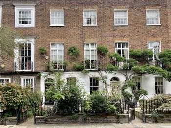 Charming georgian house in kensington, london. with climbing wisteria tree and front garden